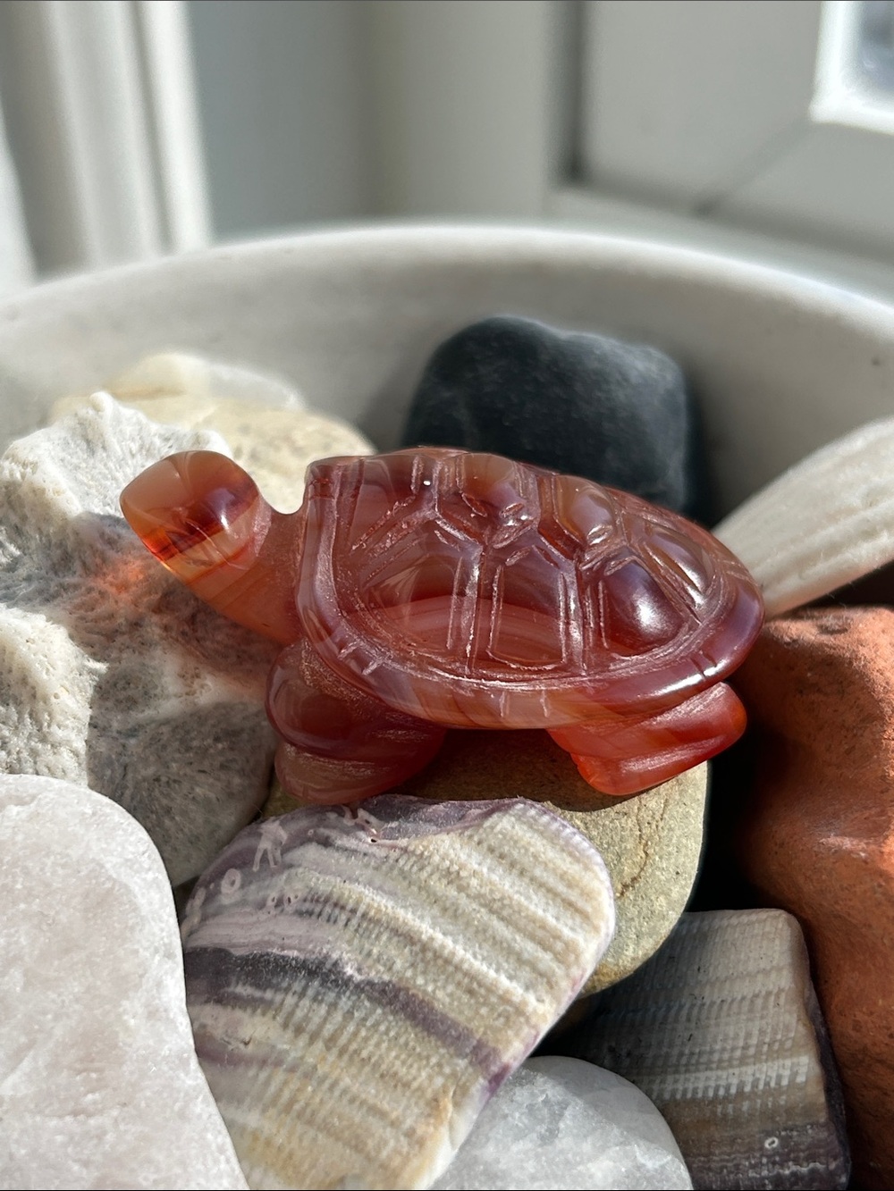 Brownish Red Jadeite/Carnelian Stone Carved Turtle Figurine